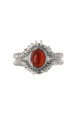 Barnacle Rings Small
