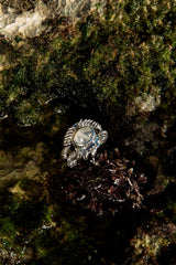 Barnacle Ring